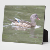 Ente auf der Plaque-See Fotoplatte (Seite)
