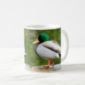 Ente auf einem Felsen Kaffeetasse (VorderseiteRechts)