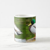 Ente auf einem Felsen Kaffeetasse (Mittel)