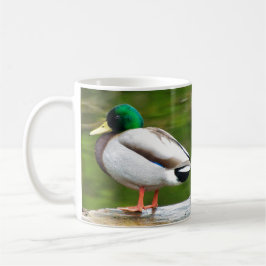 Ente auf einem Felsen Kaffeetasse
