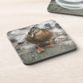 Ente auf einem Wall-Cork-Untersetzer Getränkeuntersetzer (Linke Seite)