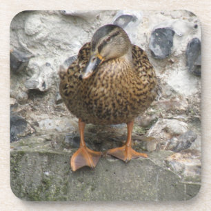 Ente auf einem Wall-Cork-Untersetzer Getränkeuntersetzer