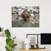 Ente auf einem Wall-Poster Poster (Heimbüro)