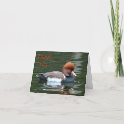 Ente auf Fluss danke beachten (Vorderseite)