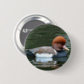 Ente auf Flusstaste Button (Vorne & Hinten)