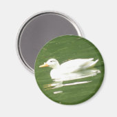 Ente auf Wasser Magnet (Vorderseite/Rückseite)