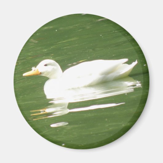 Ente auf Wasser Magnet (Vorne)