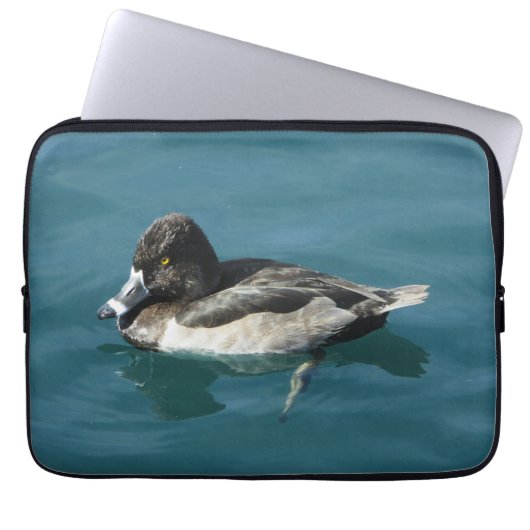 Ente auf Wasser Schwarz-weiß Ring Neck Lake Animal Laptopschutzhülle (Vorderseite)