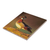 Ente aus männlichem Holz, Illinois Fliese (Seite)