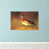 Ente aus männlichem Holz, Illinois Leinwanddruck (Insitu (Holzboden))