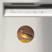 Ente aus männlichem Holz, Illinois Magnet (In Situ (Geschirrspüler))