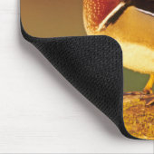 Ente aus männlichem Holz, Illinois Mousepad (Ecke)
