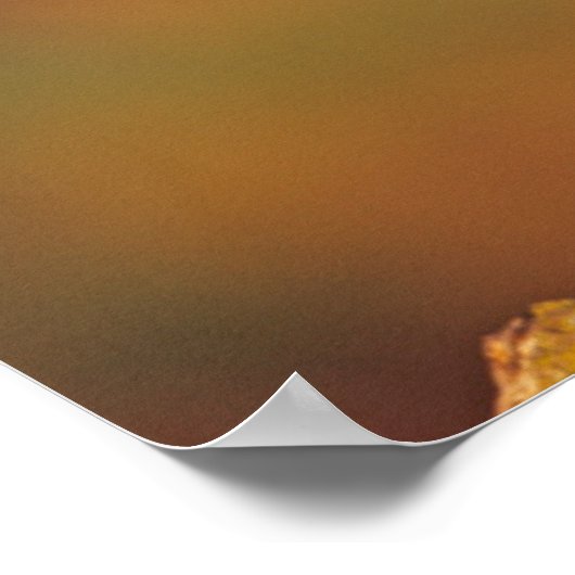 Ente aus männlichem Holz, Illinois Poster (Ecke)