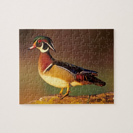 Ente aus männlichem Holz, Illinois Puzzle (Horizontal)