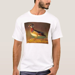 Ente aus männlichem Holz, Illinois T-Shirt