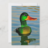 Ente beim Pond-Design Feiertagskarte (Rückseite)