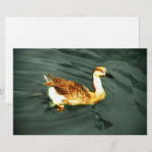 Ente Briefpapier (Vorne/Hinten)