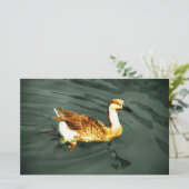 Ente Briefpapier (Stehend Vorderseite)