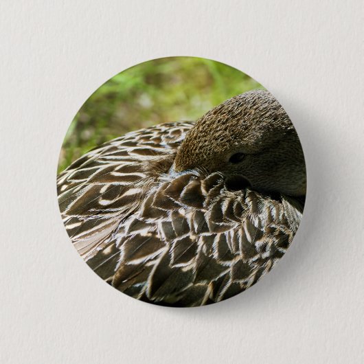 Ente Button (Vorderseite)