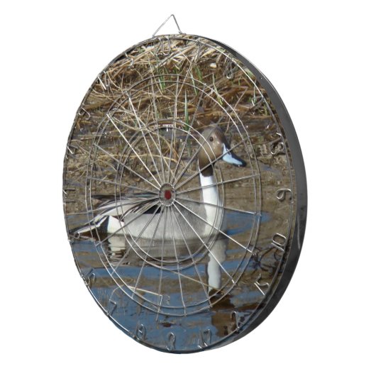 Ente Drake der Spießenten-B5 Dartscheibe (Vorderseite rechts)