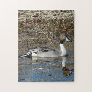 Ente Drake der Spießenten-B5 Puzzle