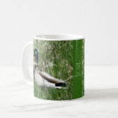 Ente Drake Greenhead der Stockenten-B55 im Gras Kaffeetasse (Vorderseite Links)