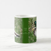 Ente Drake Greenhead der Stockenten-B55 im Gras Kaffeetasse (Mittel)