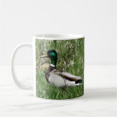 Ente Drake Greenhead der Stockenten-B55 im Gras Kaffeetasse (Links)