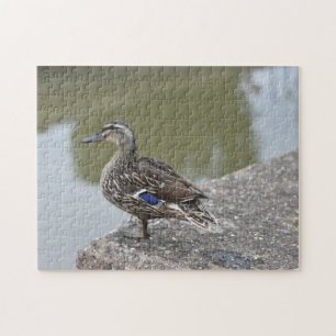 Ente durch die Wasservogelfotografie Puzzle
