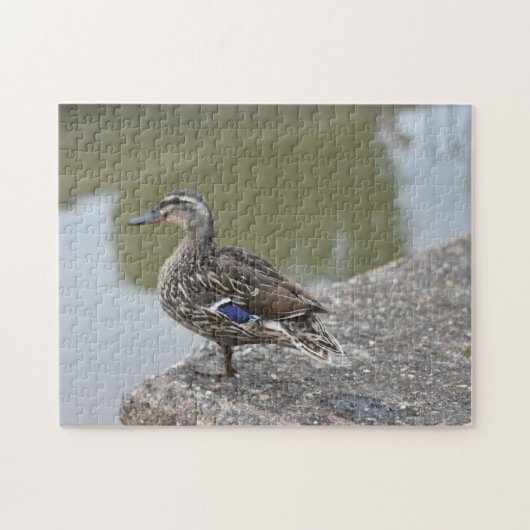 Ente durch die Wasservogelfotografie Puzzle (Horizontal)