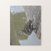 Ente durch die Wasservogelfotografie Puzzle (Vertikal)