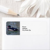 Ente farbige Wasservögel (Insitu)