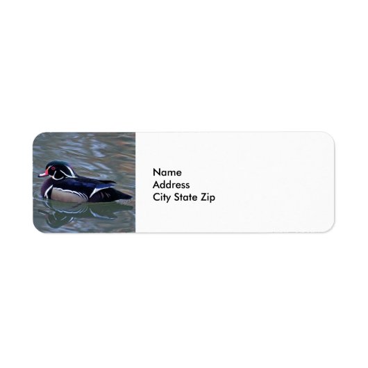 Ente farbige Wasservögel (Vorne)