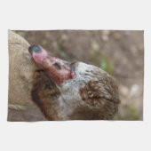 Ente Geschirrtuch (Horizontal)