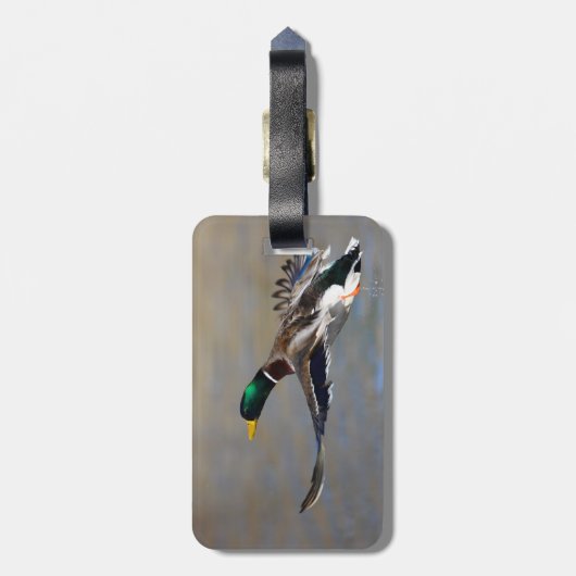 Ente im Flug Gepäckanhänger (Rückseite vertikal)