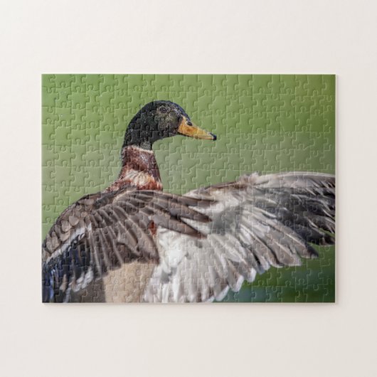 Ente im Hudson-Tal Puzzle (Horizontal)