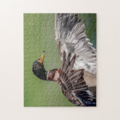 Ente im Hudson-Tal Puzzle (Vertikal)
