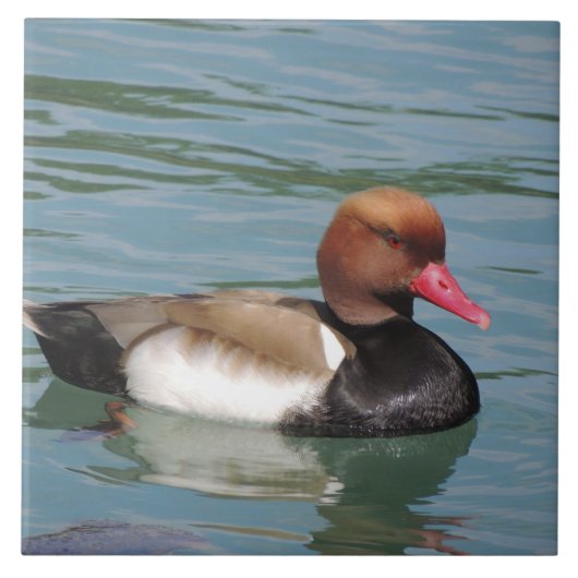 Ente im Wasser Fliese (Vorderseite)