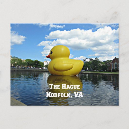 Ente in Den Haag, Norfolk, VA Postkarte (Vorderseite)