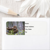 Ente in den Schilf (Insitu)