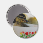 Ente in einem Teacup 2 Magnet (Vorderseite/Rückseite)