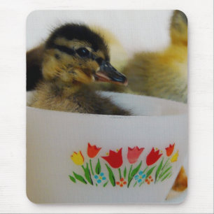 Ente in einem Teacup 2 Mousepad