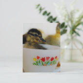 Ente in einem Teacup 2 Postkarte (Stehend Vorderseite)