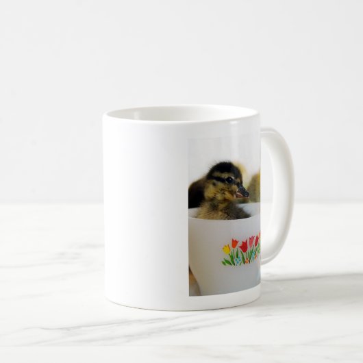 Ente in einem Teacup Kaffeetasse (VorderseiteRechts)