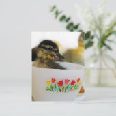Ente in einem Teacup Postkarte (Stehend Vorderseite)