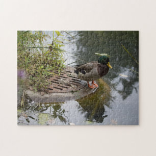 Ente in einem Teich Puzzle