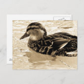 Ente in Sepia Postkarte (Vorne/Hinten)