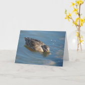 Ente in Wasser Karte (Gelbe Blume)