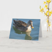 Ente in Wasser Karte (Gelbe Blume)