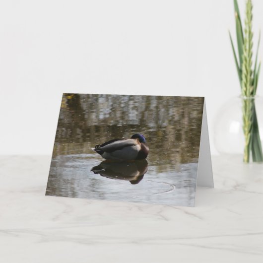 Ente Karte (Vorderseite)